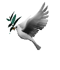 DOVE OF PEACE