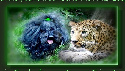 COMMANDER RALPH AND BORIS THE AMUR LEOPARD