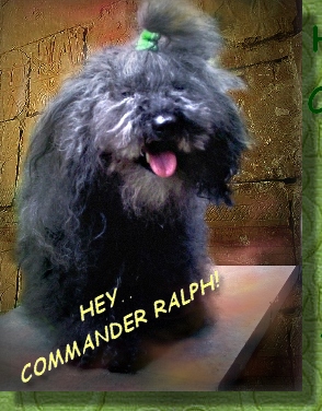 COMMANDER RALPH