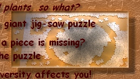 JIGSAW PUZZLE