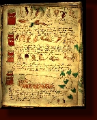 VOYNICH MANUSCRIPT