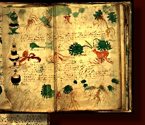 VOYNICH MANUSCRIPT