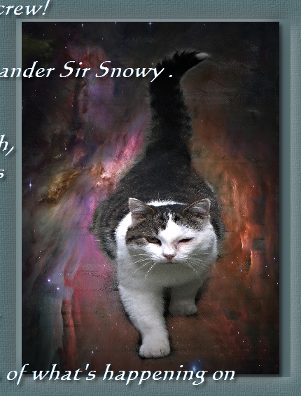 COMMANDER SIR SNOWY