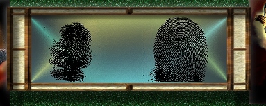 KOALA AND HUMAN FINGERPRINTS