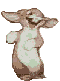 DANCING BUNNY