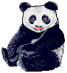 PANDA SITTING