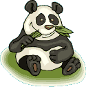PANDA HAVING A SNACK