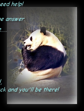 MR PANDA THINKING