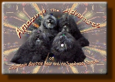 AMAZING ADVENTURES CHILDREN'S BOOK