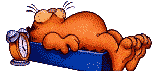 GARFIELD SLEEPING