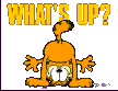 GARFIELD..WHAT'S UP?
