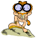 GARFIELD THE EXPLORER