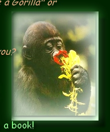 MOUNTAIN GORILLA BABY