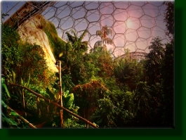 HUMID TROPICS BIOME AT PROJECT EDEN