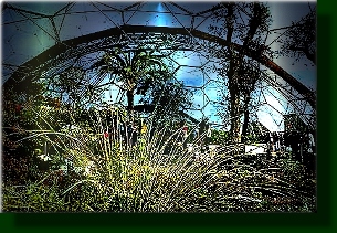 WARM TEMPERATE BIOME AT PROJECT EDEN